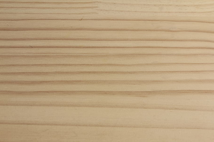 wood, texture, background, hardwood, pattern, bark, annual zone HD wallpaper