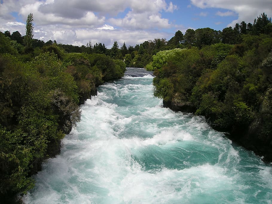 river between forest, torrent, white water, force, nature, new zealand, HD wallpaper
