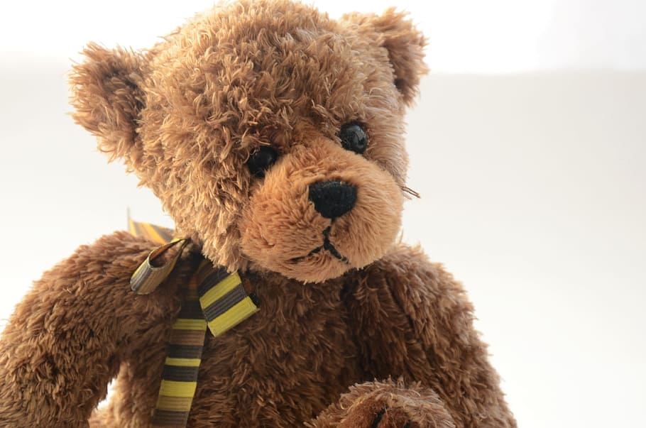 Bear, Toy, Plush, Brown, teddy, teddy bear, stuffed toy, dog HD wallpaper