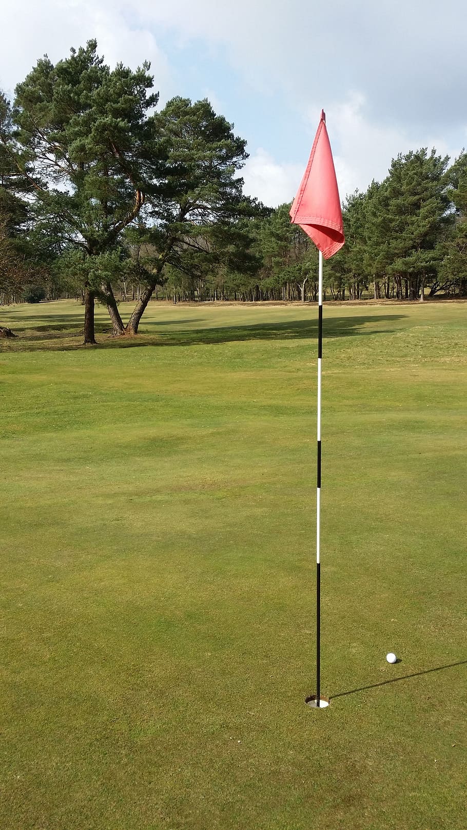 golf, flag, ball, green, grass, course, fairway, hole, golfing, HD wallpaper