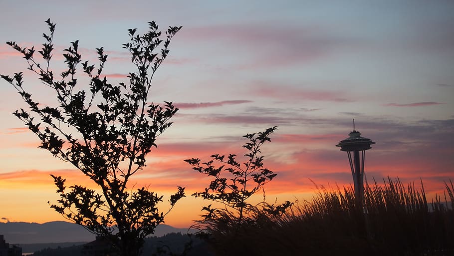 Seattle, Sunset, Space Needle, Evening, sillhouette, sky, clouds HD wallpaper