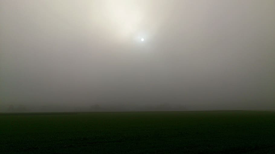 fog, field, sun, trist, grey, atmospheric, back light, mood HD wallpaper
