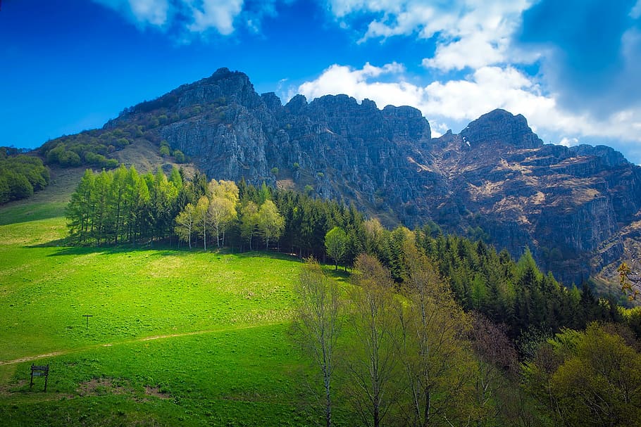 green trees near mountains under blue sky, italy, clouds, meadow HD wallpaper