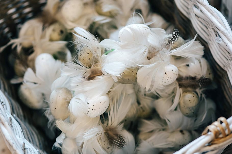 Fancy restaurant dinner table decorated with quail eggs and feathers, HD wallpaper