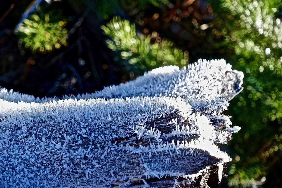 frost, ice, icy, cold, frozen, white, winter, cold temperature HD wallpaper