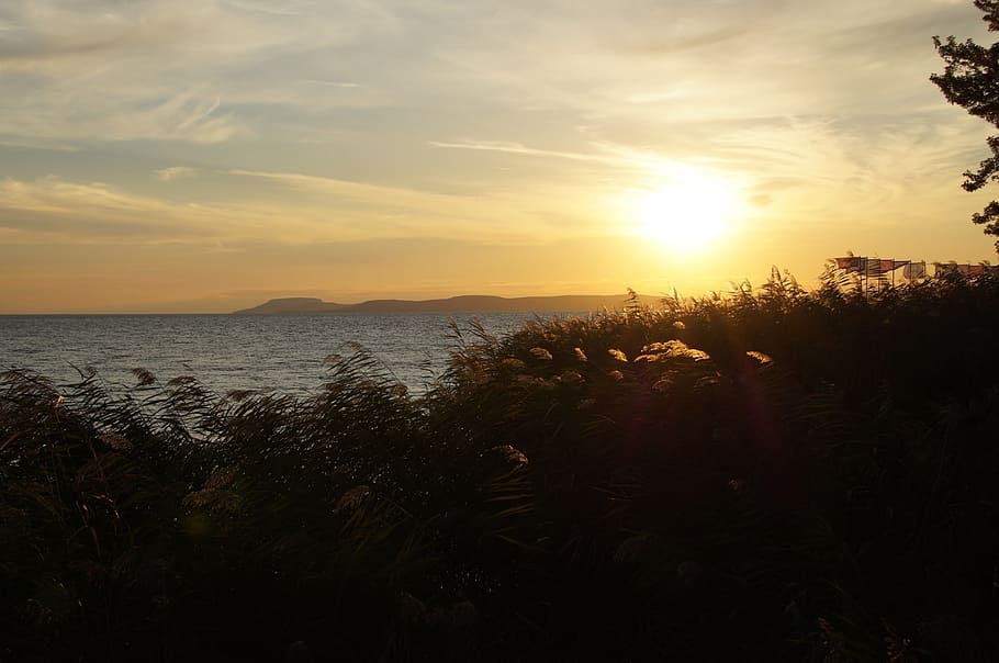 Twilight, Sunset, Evening, Colors, Reed, lake, balaton, nature HD wallpaper