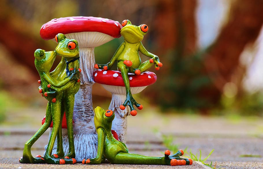 HD wallpaper: Frogs, Mushrooms, Figures, Cute, funny, animals, sweet, fly  agaric | Wallpaper Flare