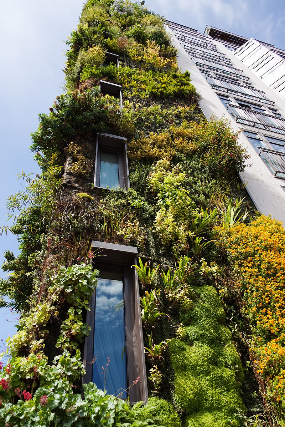 low angle photo of gray building covered with plant, architecture HD wallpaper