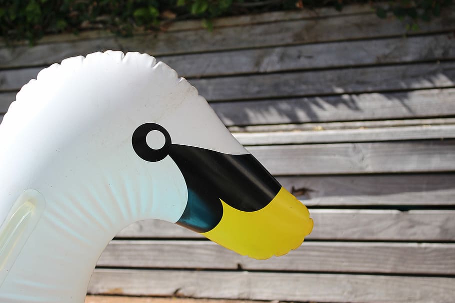duck, floatation, toy, white, animal, water, wood - material HD wallpaper