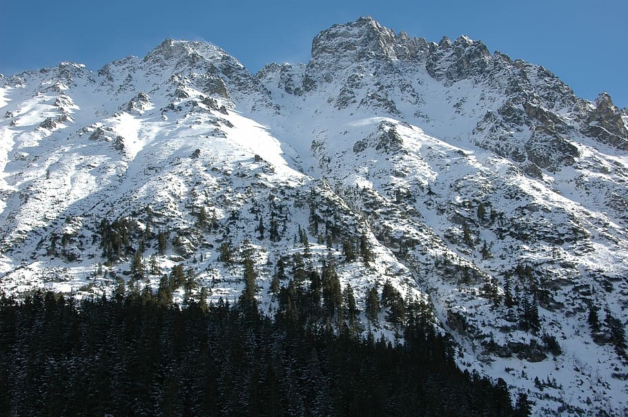 tatry, winter, mountains, snow, cold temperature, beauty in nature HD wallpaper