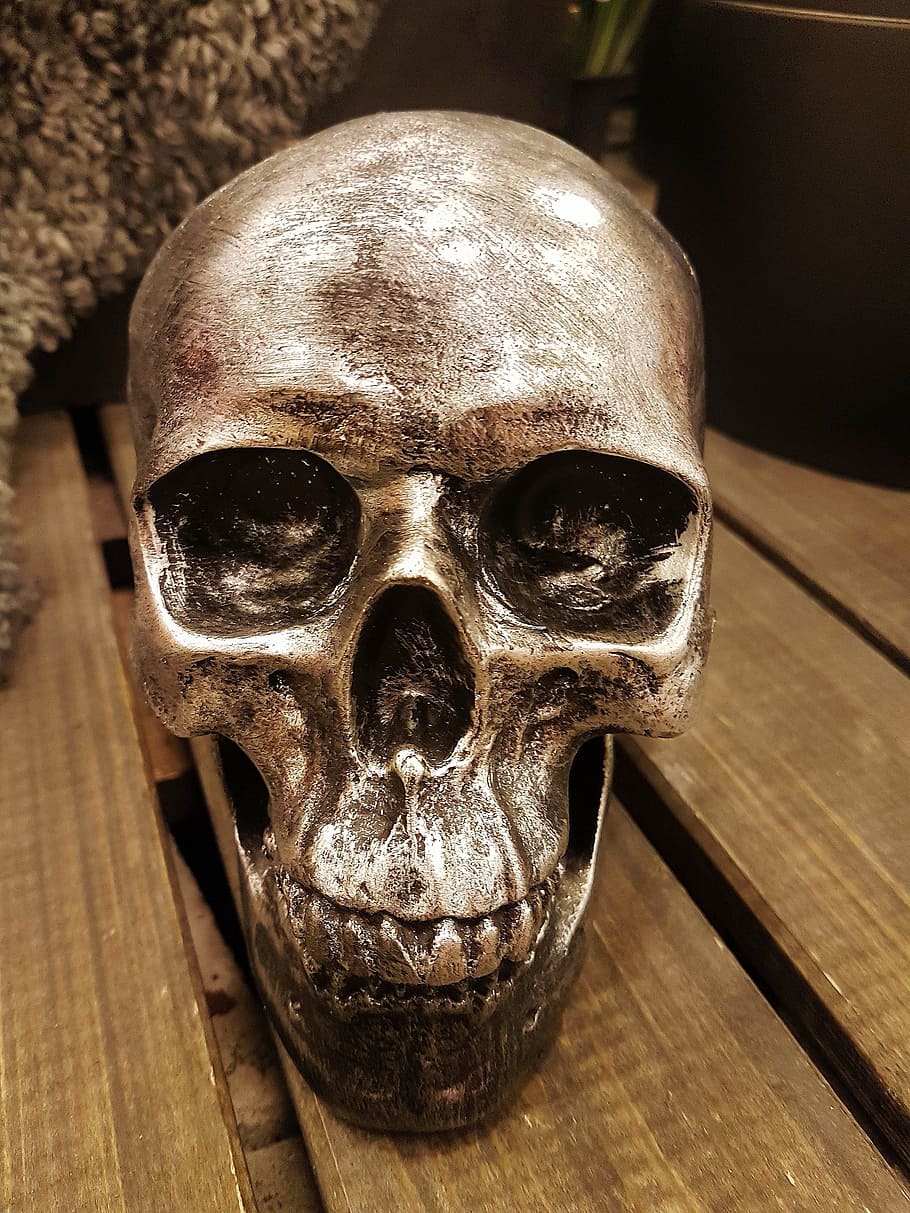 skull, frame, face, halloween, still life, close-up, wood - material HD wallpaper