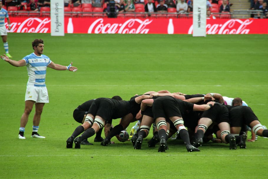 rugby, players, world, cup, stadium, sport, wembley, championship, HD wallpaper