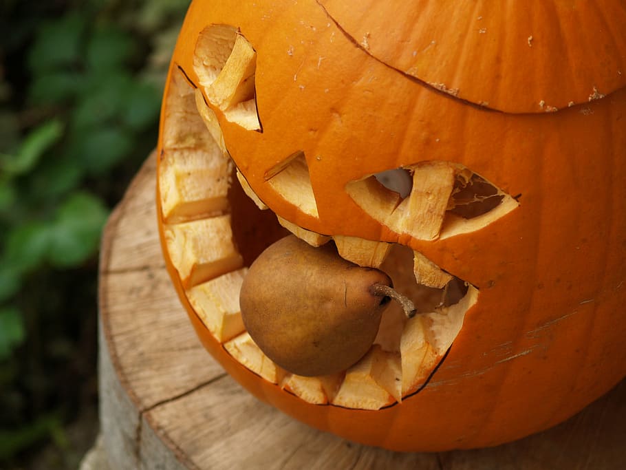 pumpkin, helloween, pear, vegetable, food and drink, halloween HD wallpaper