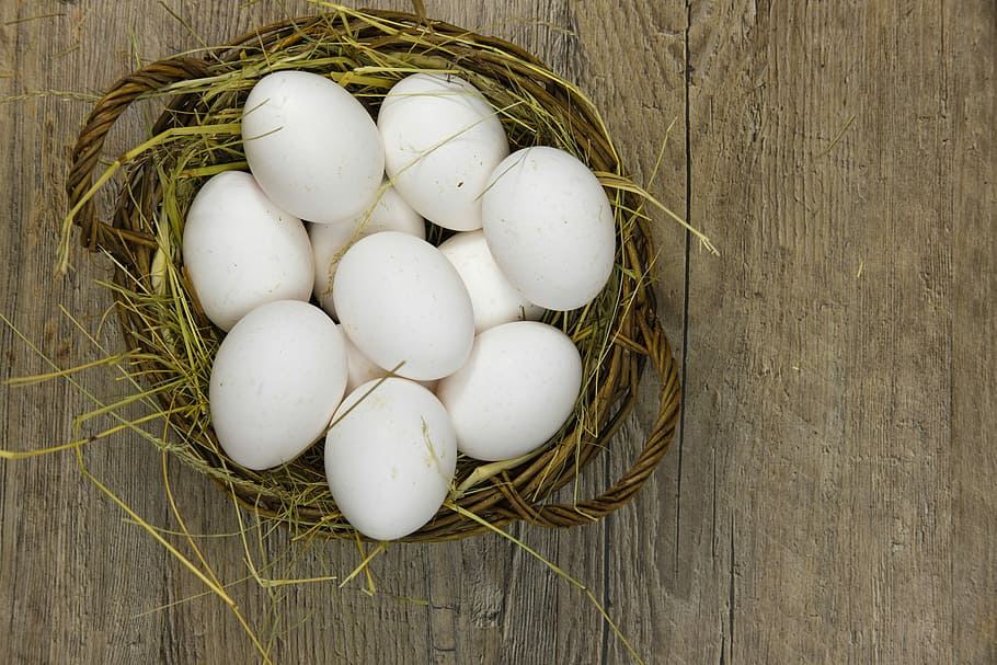 white eggs on nest, answer questions per day, basket, food, nutrition