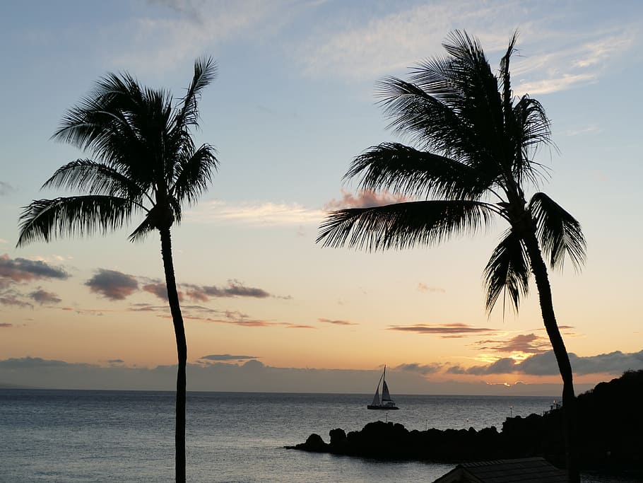 beach, seashore, tropical, sand, island, sunset, sailboat, sky HD wallpaper