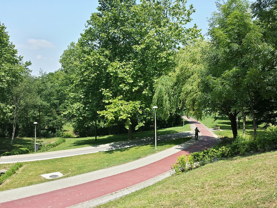 trees, path, nature, green, park, grass, walk, summer, spring HD wallpaper