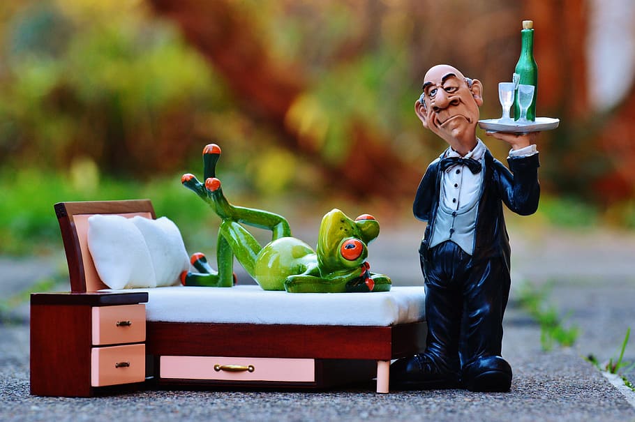 frog, bed, operation, butler, relaxation, rest, funny, cute HD wallpaper
