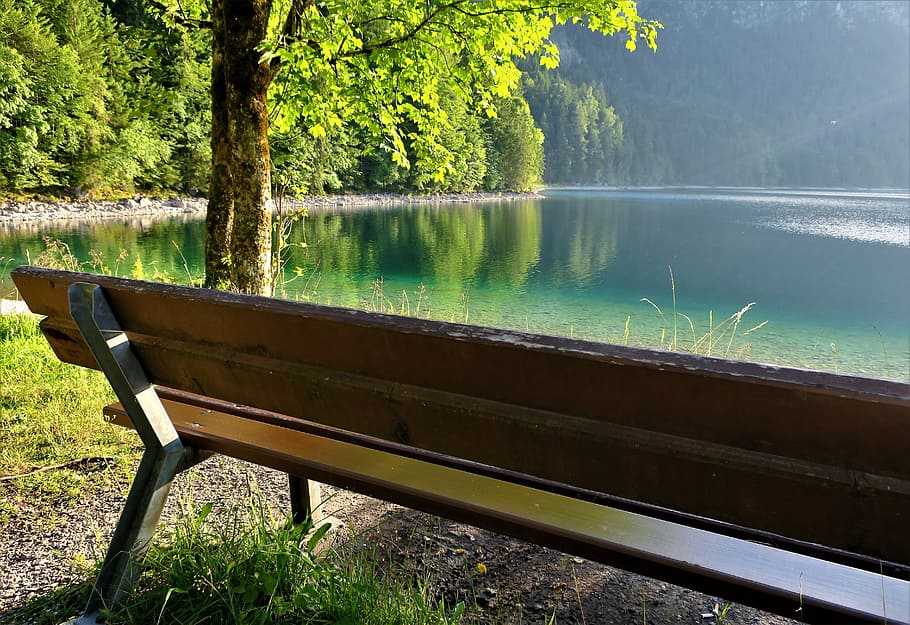 bench, break, view, bank, rest, sit, nature, seat, recovery HD wallpaper