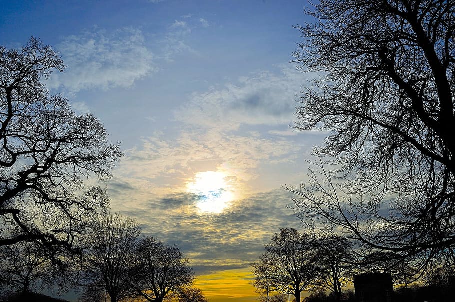Clouds, Nature, Sky, Tree, blue, landscape, sunset, red, brunch HD wallpaper