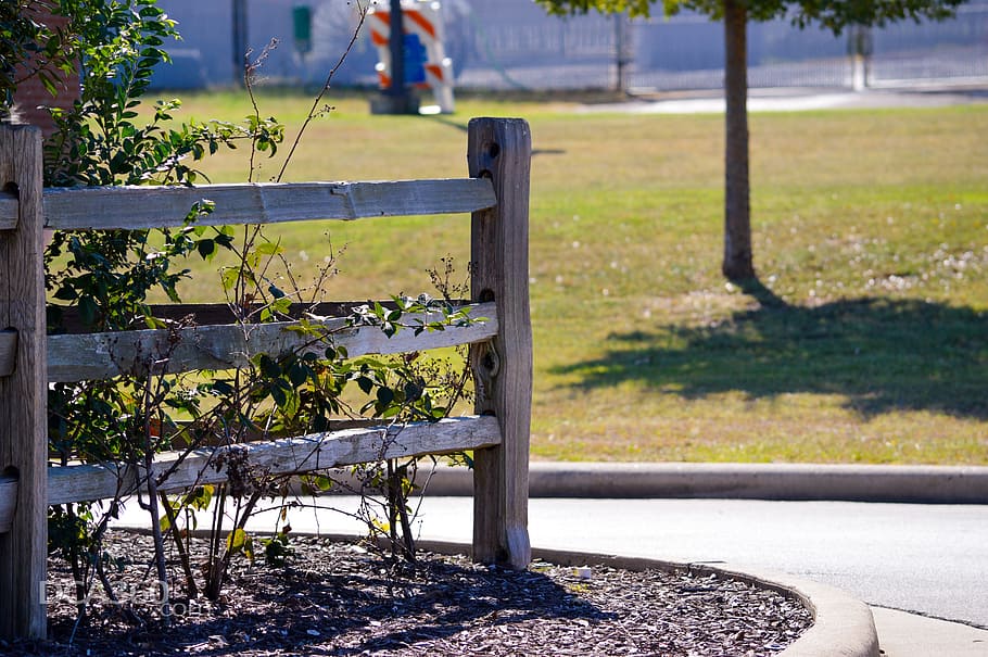 fence, post, mulch, bush, grass, decor, area, nature, plant HD wallpaper