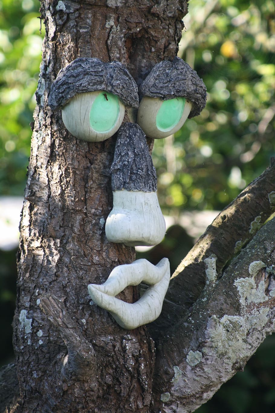 tree, face, tortuous, strange, tree trunk, focus on foreground HD wallpaper
