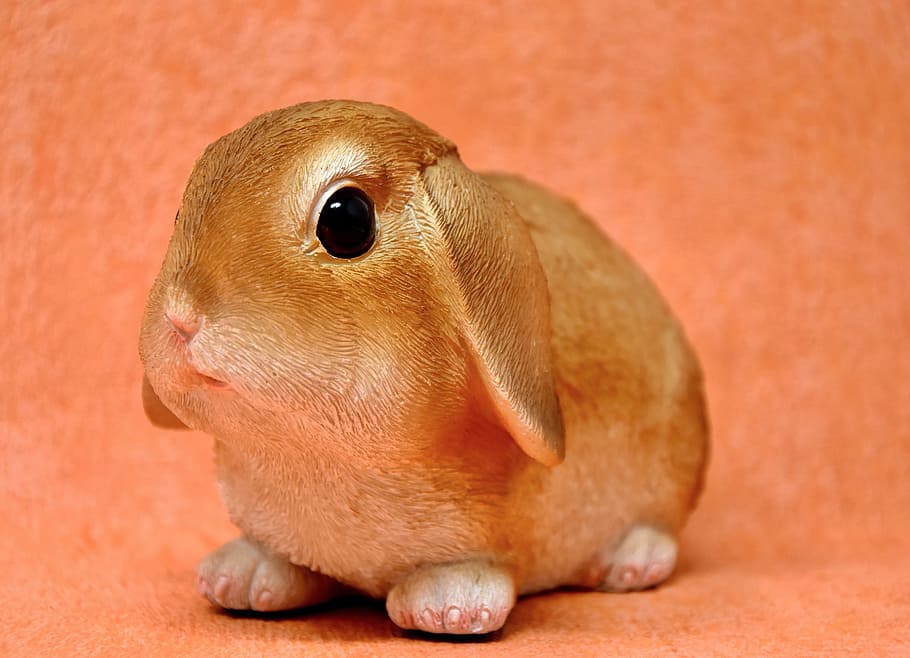 brown guinea pig, easter, easter bunny, spring, figure, easter decoration HD wallpaper