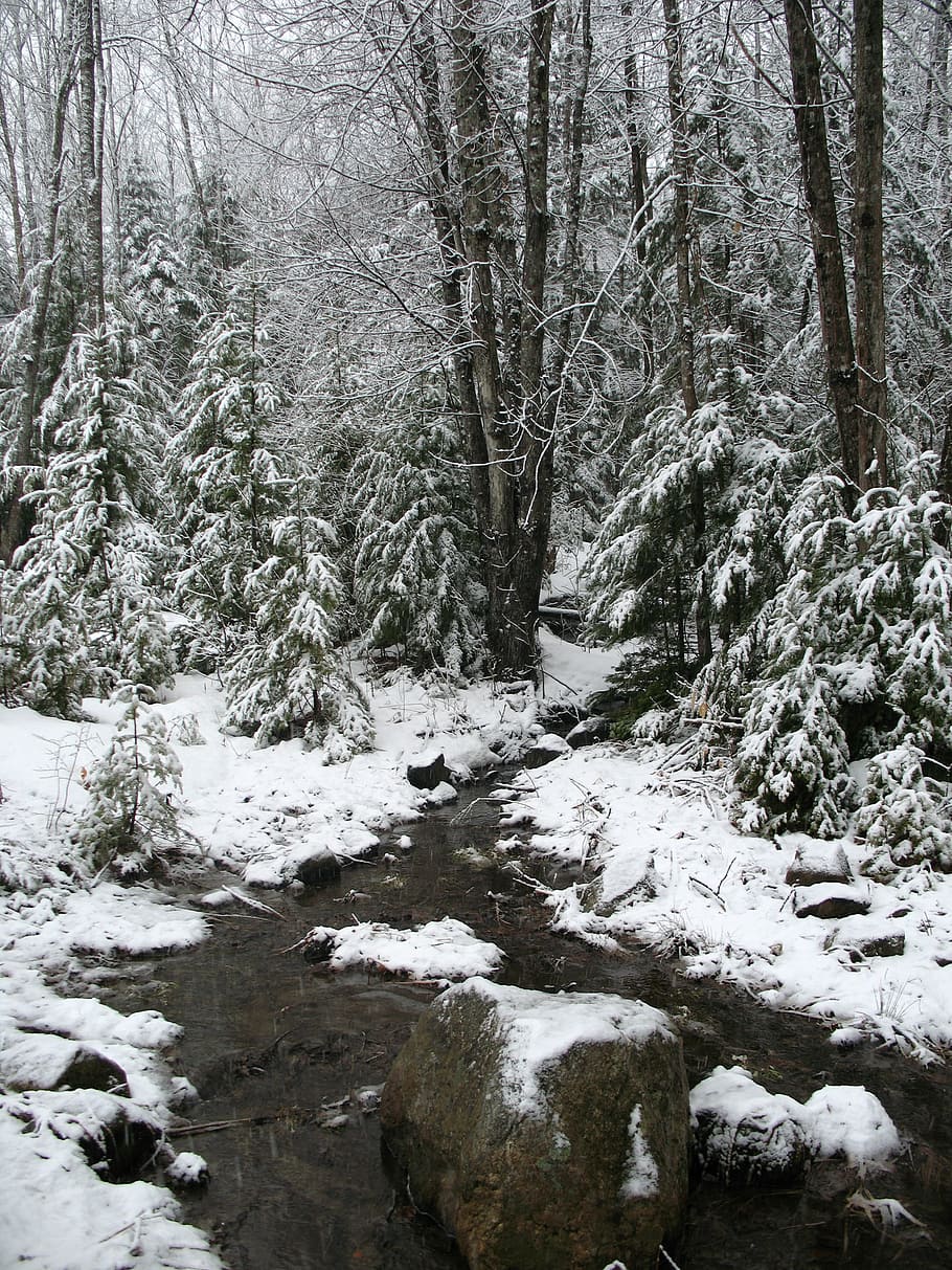 snow, stream, winter, water, landscape, nature, white, cold HD wallpaper