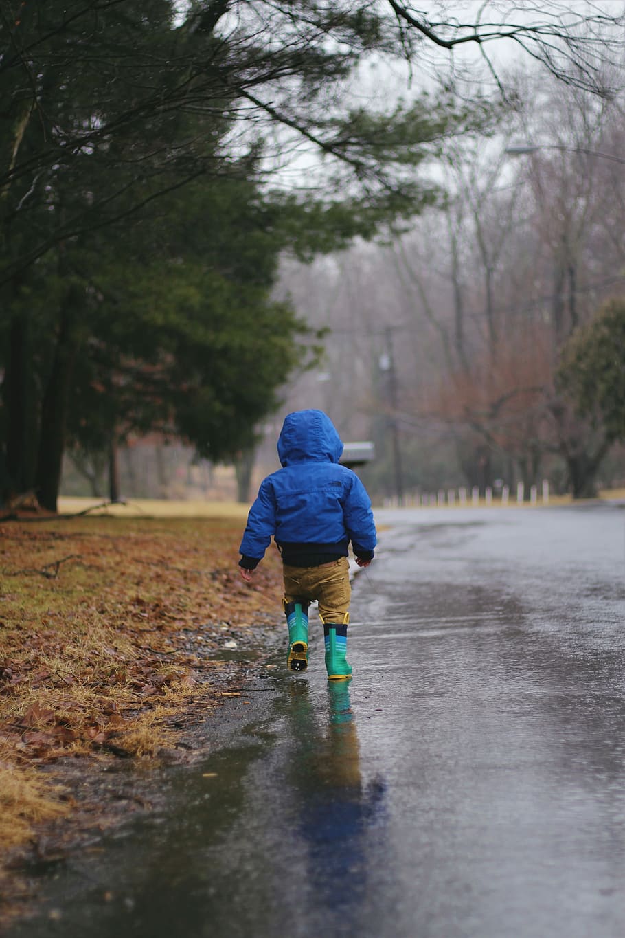 toddler walking on road while raining, toddler in blue hooded jacket walking on the road HD wallpaper