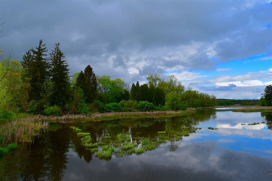 Lake, Trees, Clouds, Color, Scene, sky, blue, nature, landscape HD wallpaper
