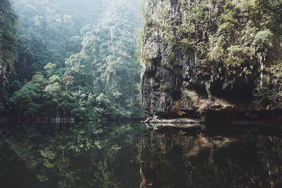calm body of water beside green trees, landscape photography of sea cave HD wallpaper