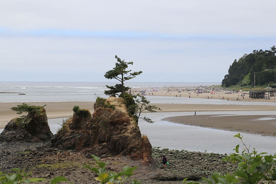 Hd Wallpaper Oregon Oregon Coast Beach Ocean Pacific Landscape Water Wallpaper Flare