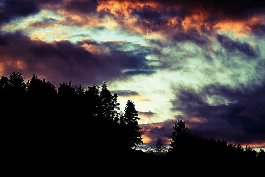 silhouette of tree at mountain under white and blue clouds, trees under cloudy sky HD wallpaper