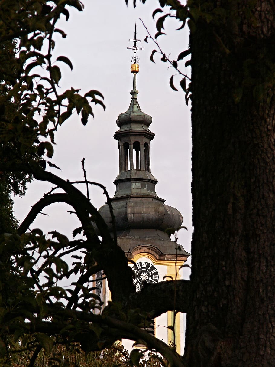 steeple, old tree, tower, architecture, borovany, trunk, built structure HD wallpaper