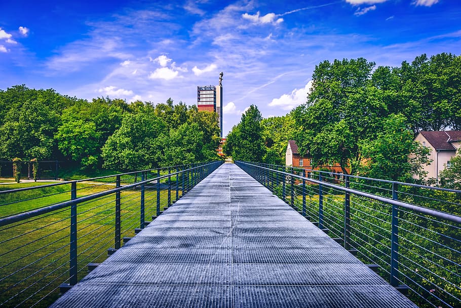 catwalk, spring, runway, mining, industry, tree, plant, direction HD wallpaper