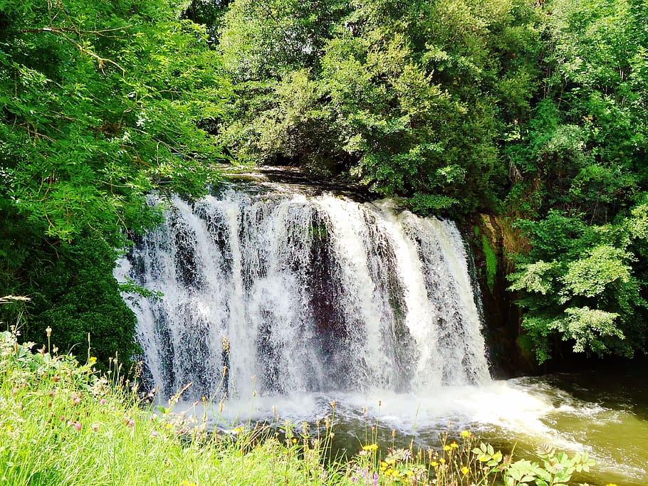 cascade, water, nature, force, landscapes, waterfall, plant HD wallpaper