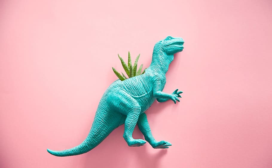 teal plastic T-rex figurine, dinosaur, cactus, succulent, reptile, HD wallpaper