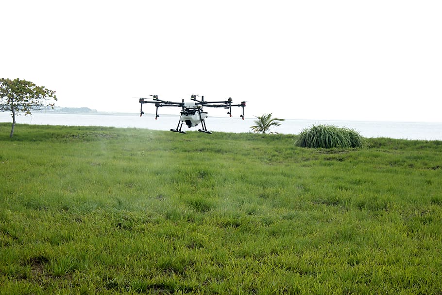 drone asperjando, drone farm, fumigation, spray, cultivation, HD wallpaper
