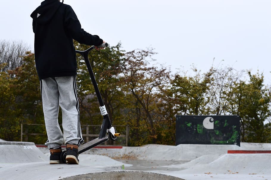 man holding bird scooter, spark, autumn, one person, real people HD wallpaper