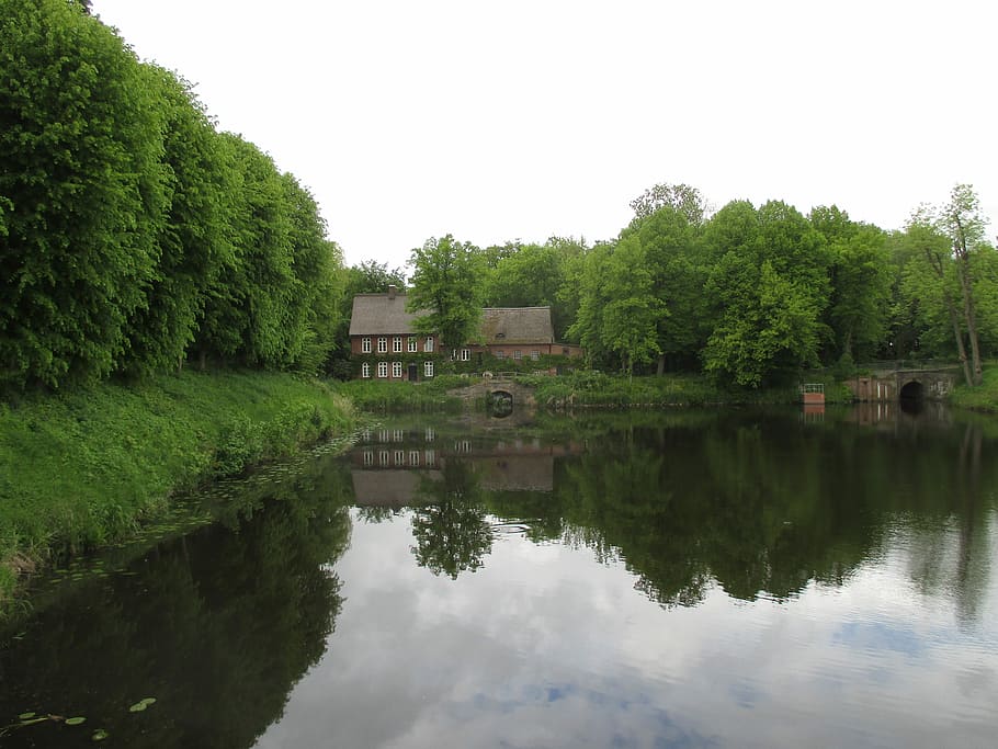 Mirroring, Lake, Trees, Rest, Idyllic, former mill, haunting HD wallpaper