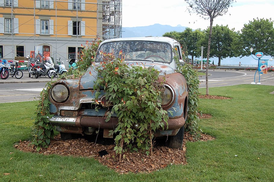 stainless, auto, leave, old, oldtimer, scrap, pkw, wreck, rusted HD wallpaper