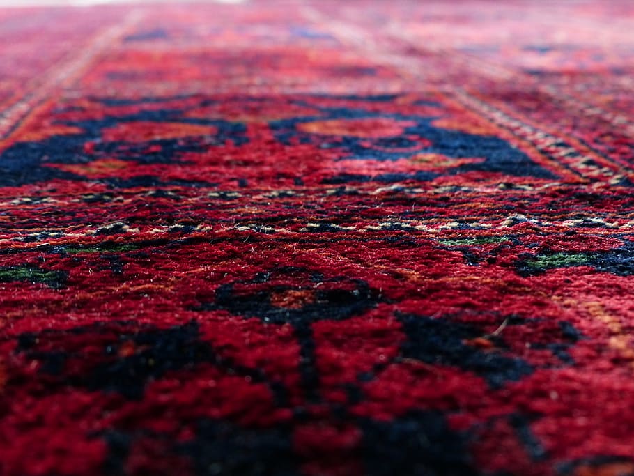 red and blue floral area rug in low angle photography, carpet HD wallpaper