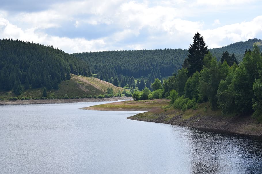 dam, eckertal, tree, plant, beauty in nature, cloud - sky, scenics - nature HD wallpaper