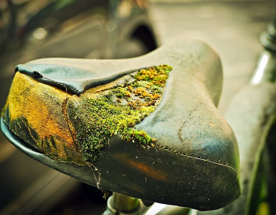 HD wallpaper: close-up photo of bicycle seat covered with moss, bike