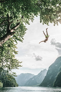 person diving on body of water, man jumping from tree on body of water HD wallpaper