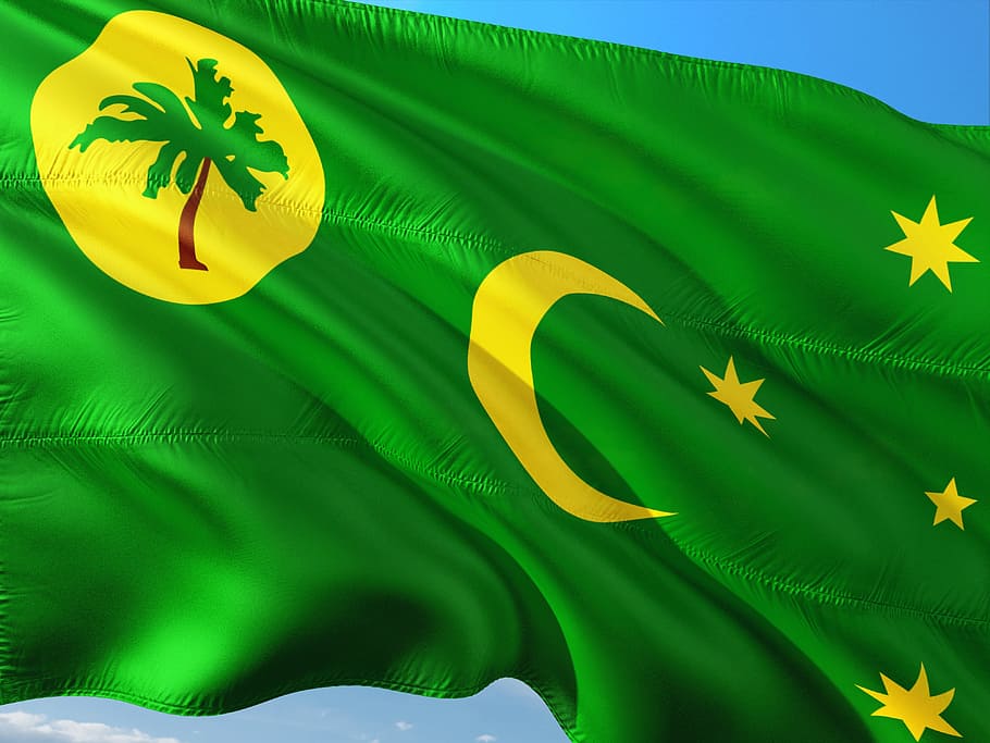 international, flag, cocos islands, leaf, green color, plant part