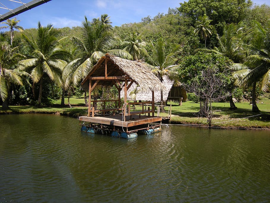 river, hut, guam, water, tree, plant, waterfront, tropical climate HD wallpaper