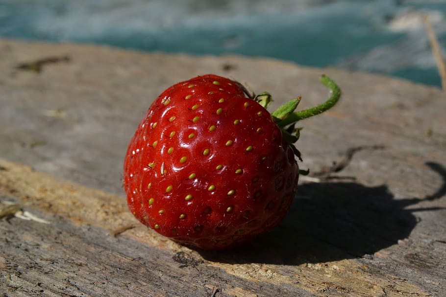 Strawberry, Bio, Fruit, Ripe, Sweet, red, garden strawberry HD wallpaper