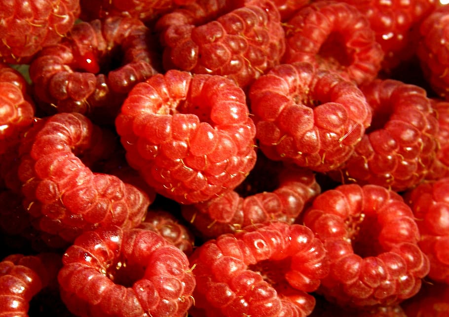 raspberry, fruit, pie, raspberry cake, fruits, food, food and drink HD wallpaper
