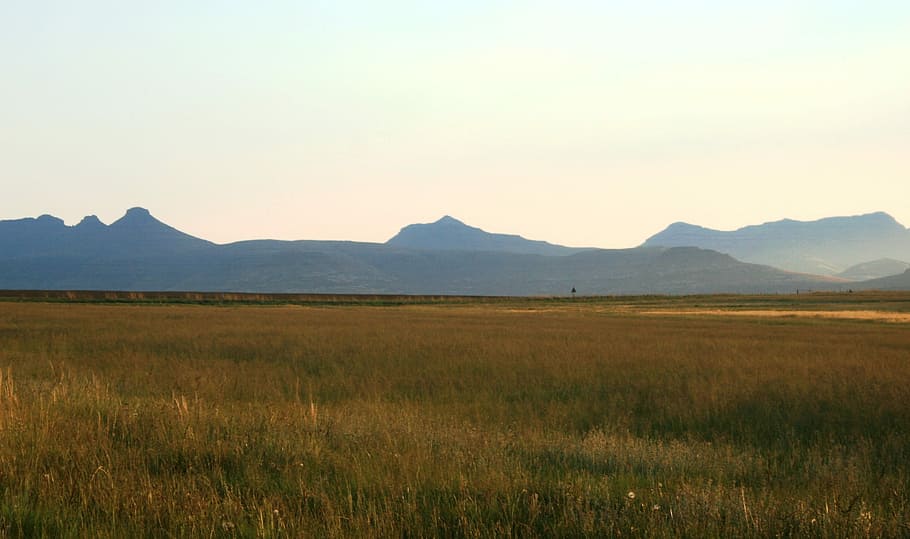 Veld, Grass, Landscape, Sky, far off mountains, field, vast stretch HD wallpaper