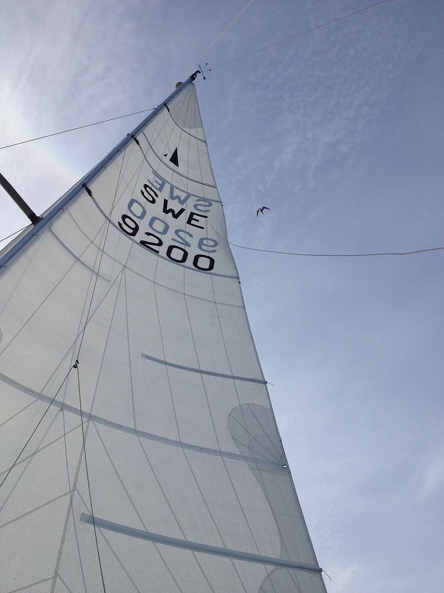 sail, mast, sky, bird, blue, low angle view, built structure HD wallpaper